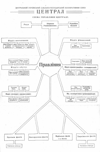 Image - The organizational structure of the Tsentral co-operative association.